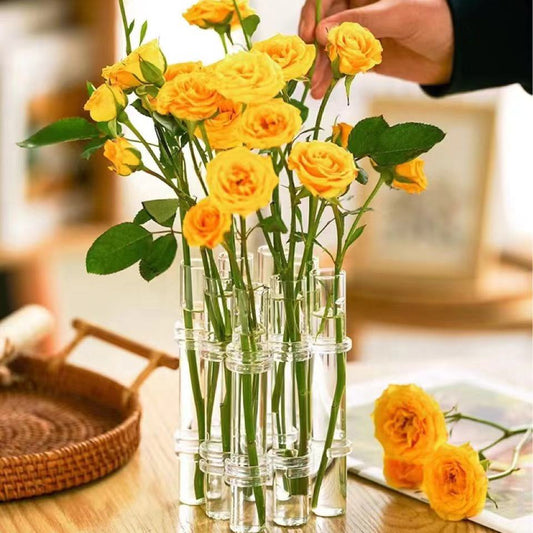 Glass Tube Hydroponic Vase
